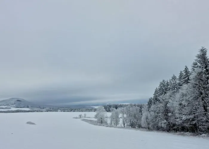 Apartment Grosszuegige Peter In Barenstein